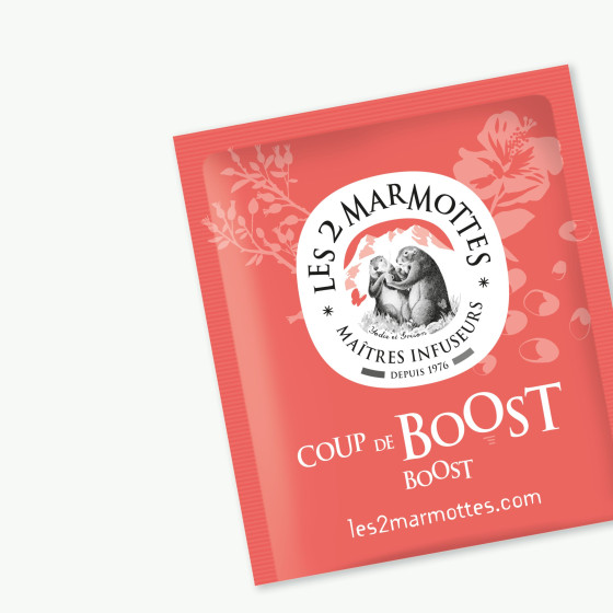Sachet Infusion Coup de Boost Sachet Infusion Coup de Boost