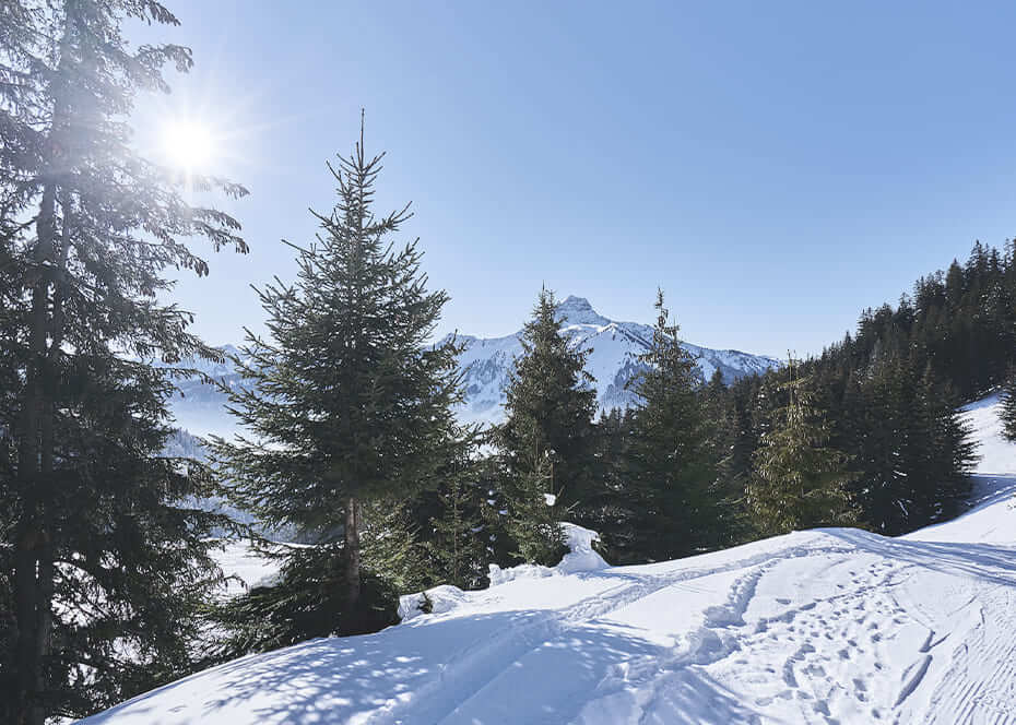 Infusions Les 2 Marmottes et Snowleader au coeur de la Haute-Savoie