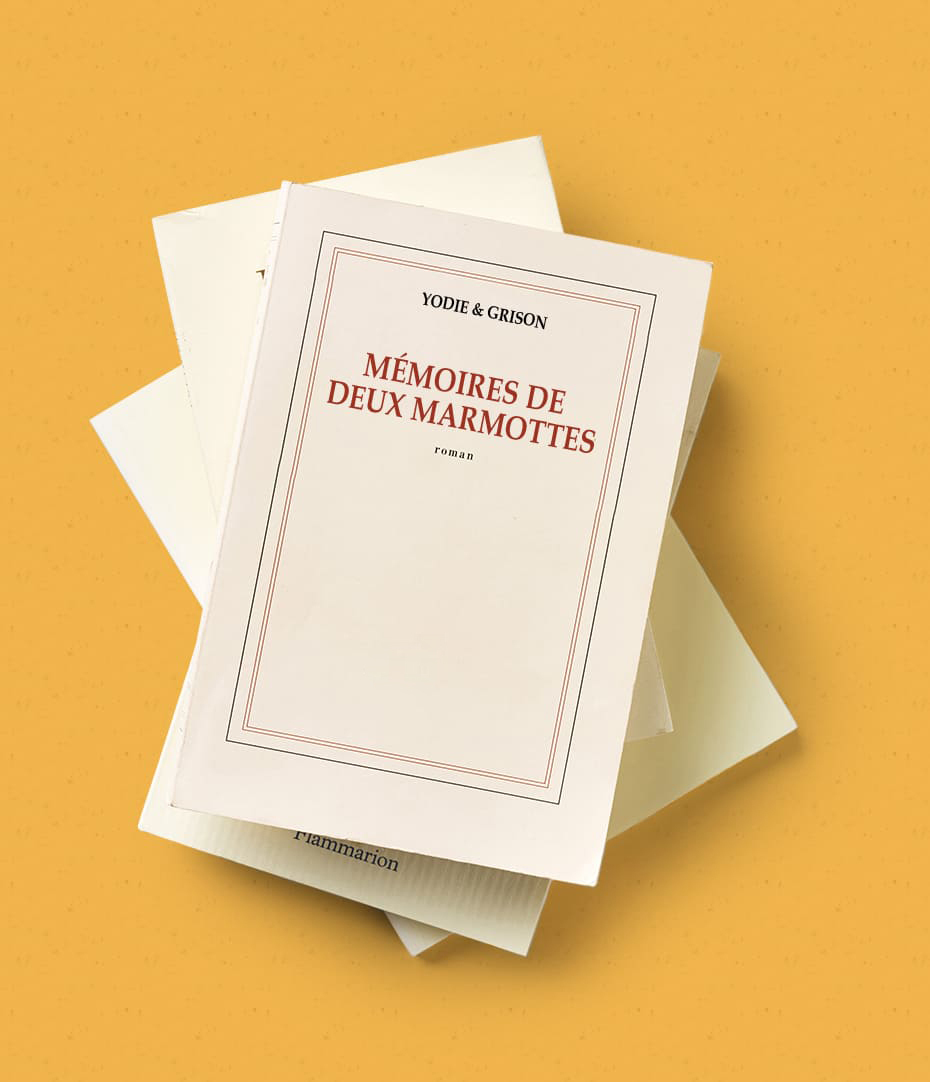 Tas de livres dont Mémoires de deux marmottes
