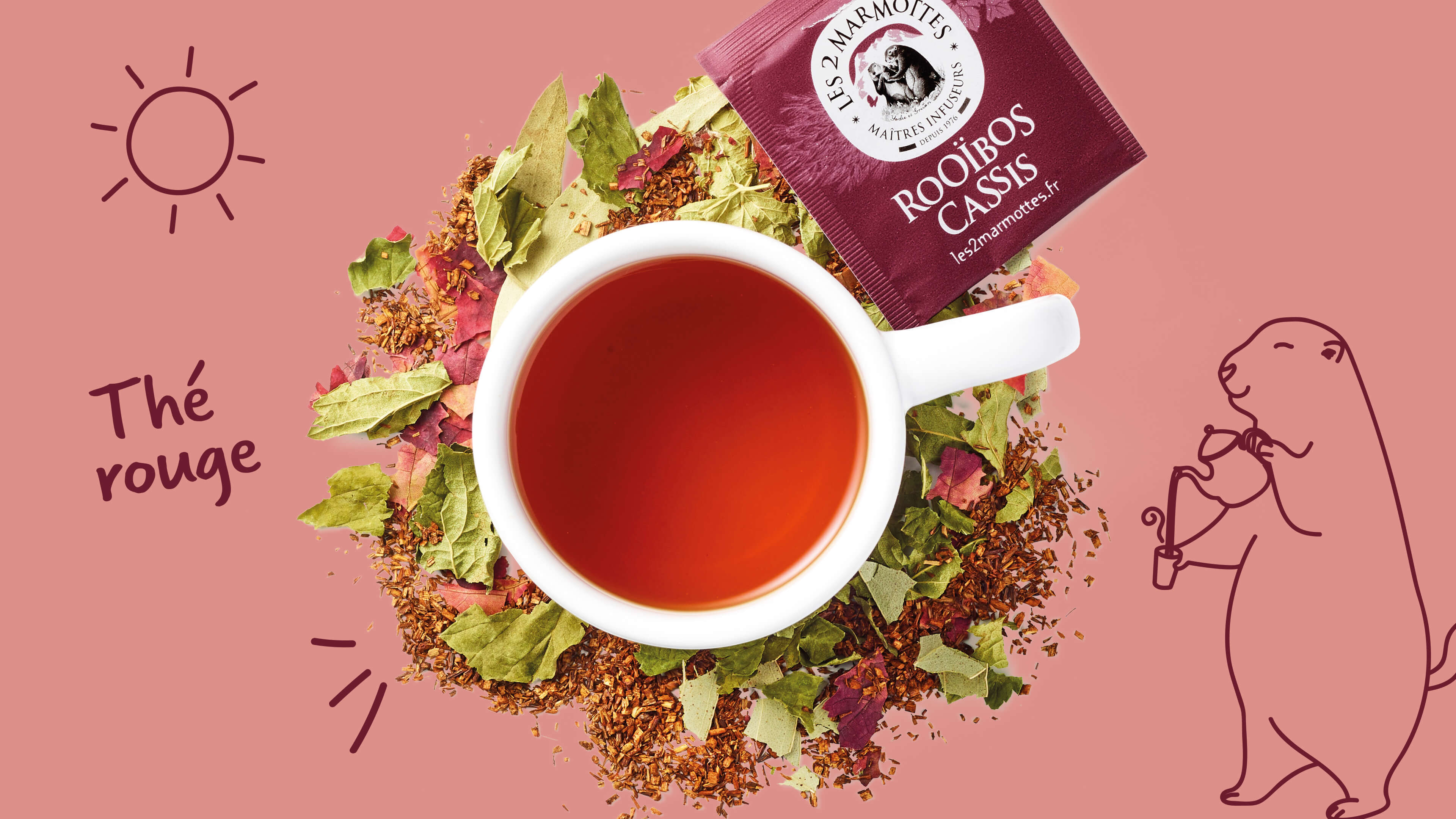 Le rooibos est une infusion connue sous le nom de thé rouge, la couleur qu'elle a dans la tasse