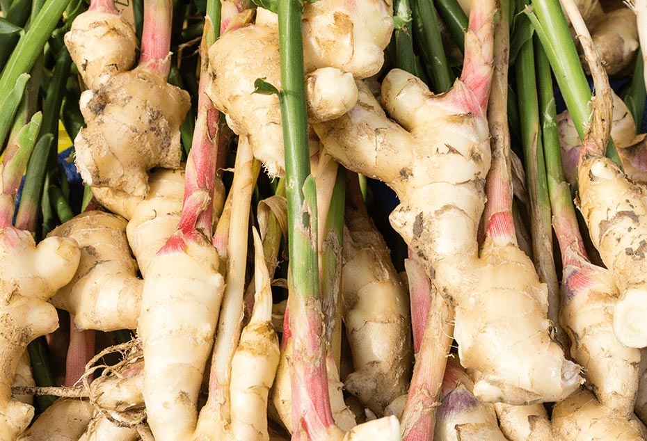 Ginger roots can be dried to be used in teas