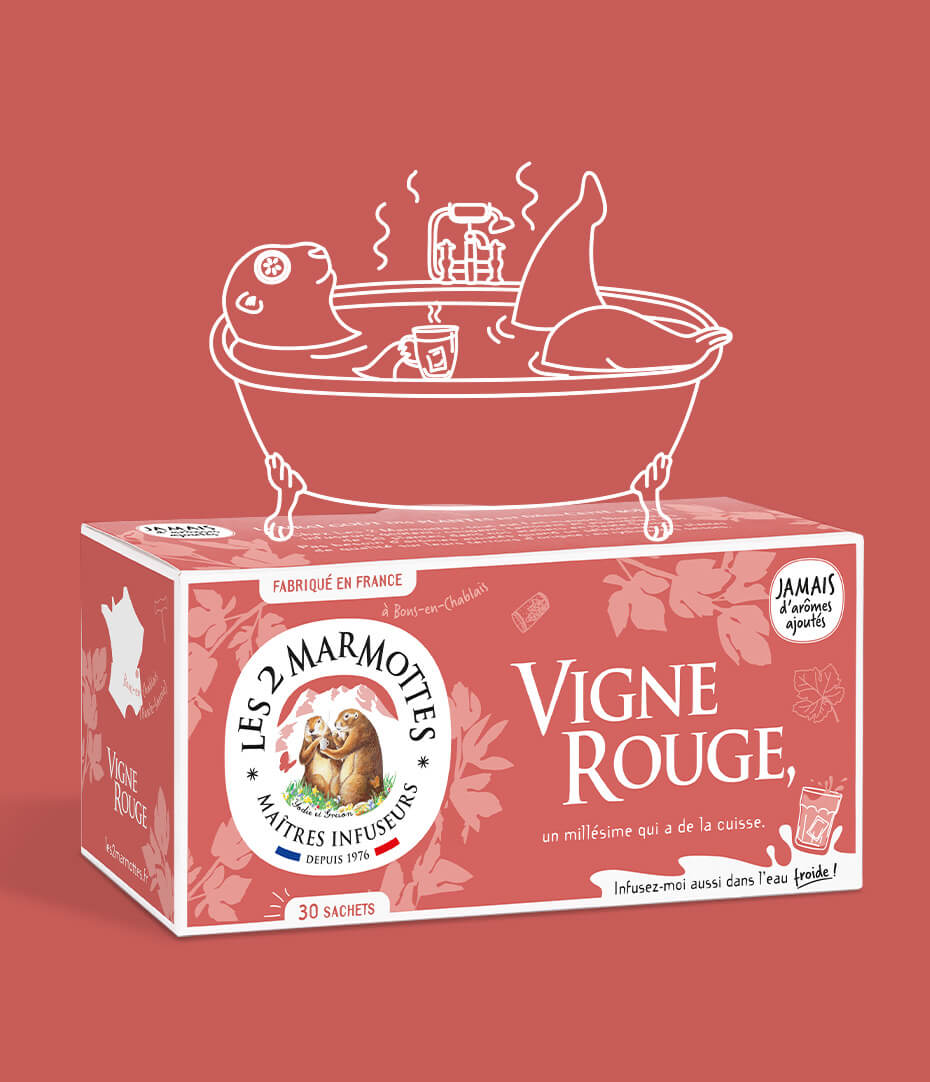 Infusion vigne rouge, à boire chaude ou froide