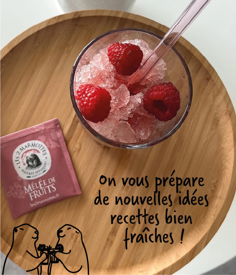 Cet été, optez pour les infusions froides à siroter bien fraîches, ou transformez les en granité