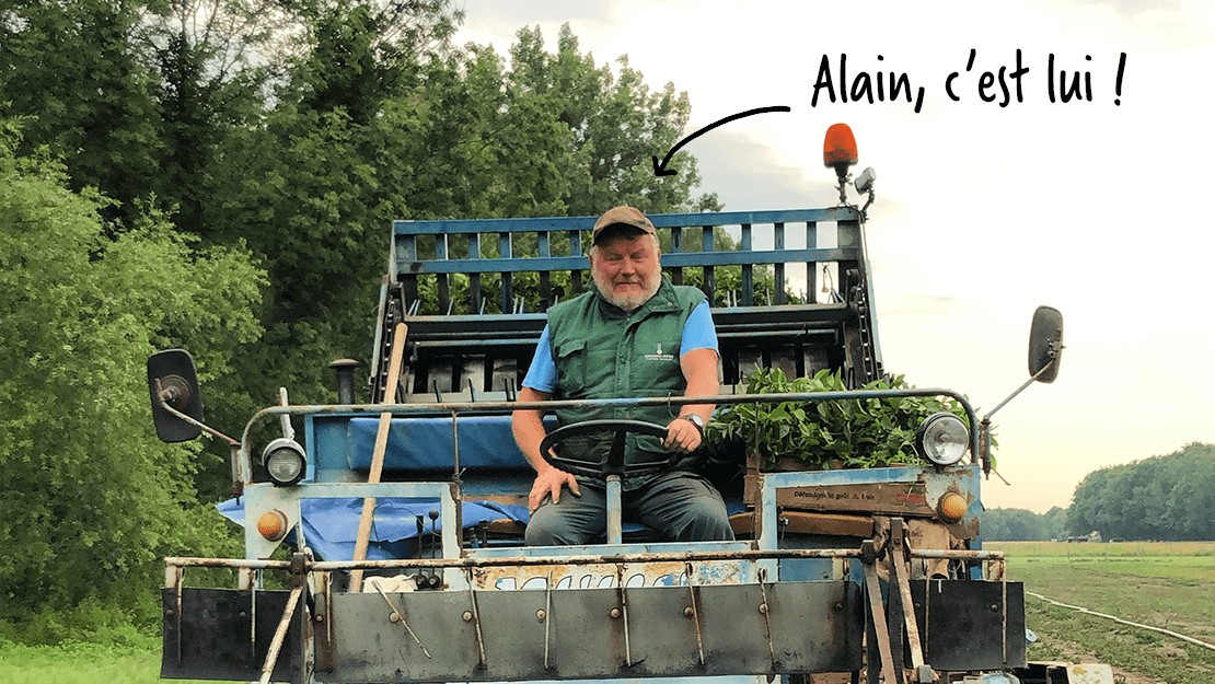 Alain notre producteur de menthe poivrée en pleine récolte
