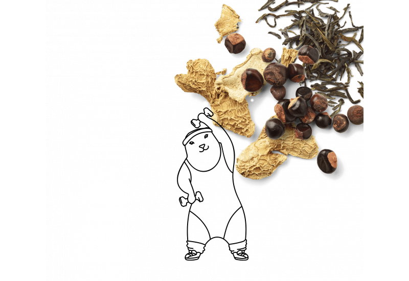 Nos infusions "anti-fatigue"
