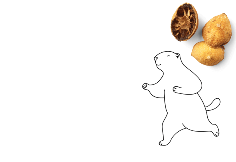 Lemon Tea